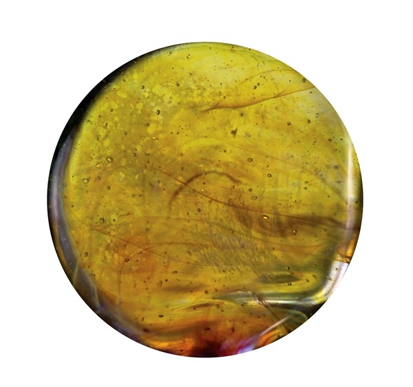 ExoticCitrusYellowMB022_1.jpg